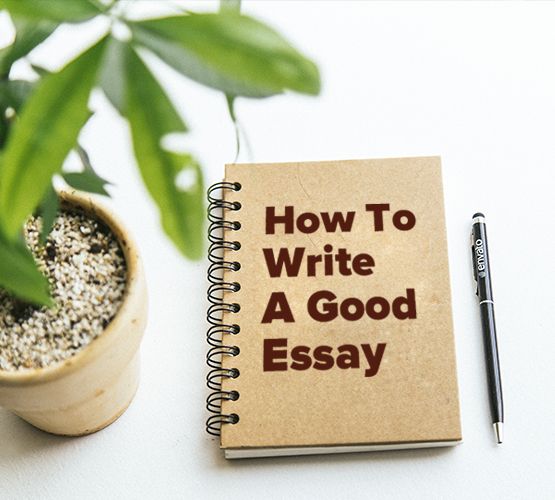 How to Write a Hook for an Essay: Catchy Ideas with Examples